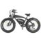 Hidoes B3 Electric Bike