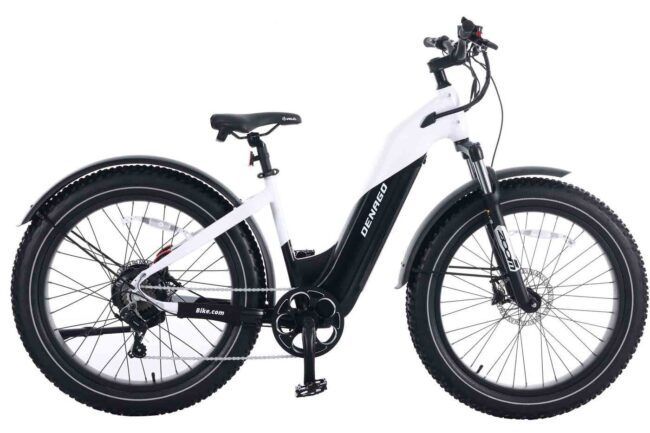 Denago Fat Tire Electric Bike