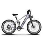 Kingbull Rover Electric Bike