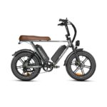 Mukkpet Ninja Electric Bike