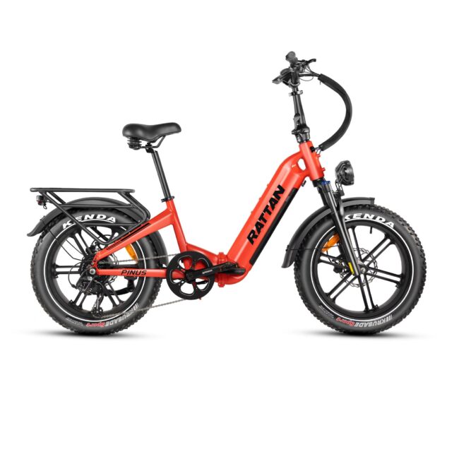 Rattan Pinus Electric Bike