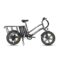 Mukkpet Stepwagon Electric Bike